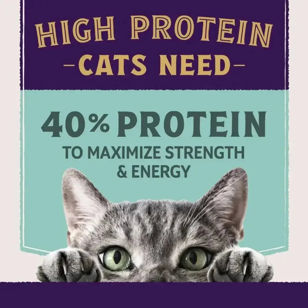 Natural Balance Ultra Protein Plus Immune & Digestive Health Chicken Meal Dry Cat Food - Talis Us