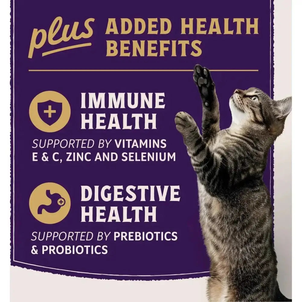 Natural Balance Ultra Protein Plus Immune & Digestive Health Chicken Meal Dry Cat Food - Talis Us