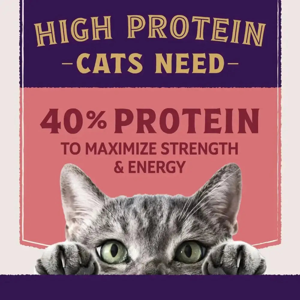 Natural Balance Ultra Protein Plus Skin/Coat/Digestive Health Salmon & Chicken Meal Dry Cat Food - Talis Us