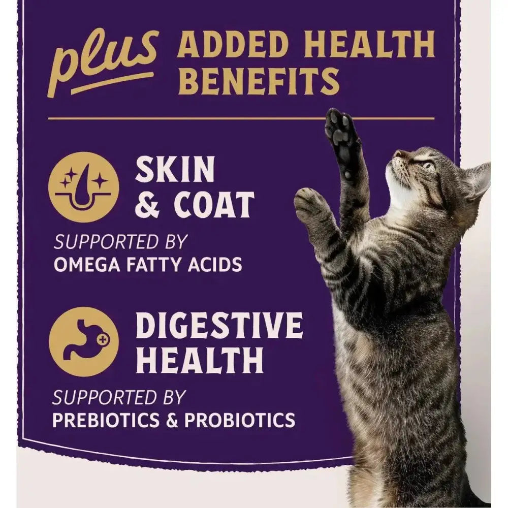 Natural Balance Ultra Protein Plus Skin/Coat/Digestive Health Salmon & Chicken Meal Dry Cat Food - Talis Us