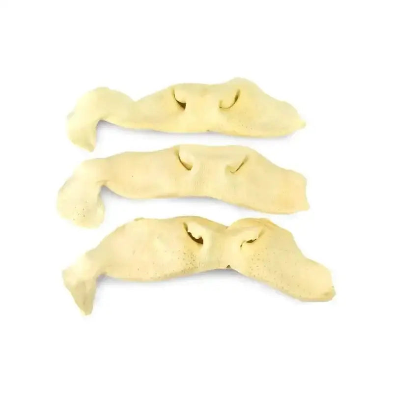 Natural Beef Snouts Dog Chew Treats 10 Units - Talis Us
