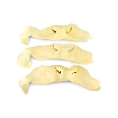 Natural Beef Snouts Dog Chew Treats 10 Units - Talis Us