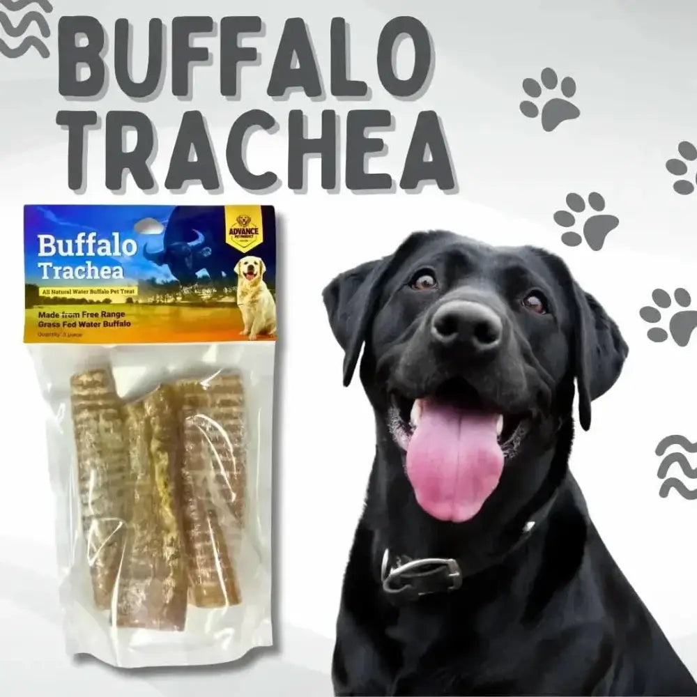 Natural Buffalo Trachea Chews for Healthy Dog Teeth - Talis Us