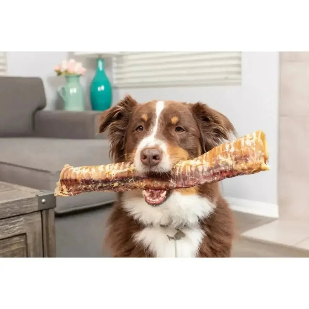 Natural Cravings USA Bison Trachea Dog Treats 12" - 13" Half canoes - Talis Us