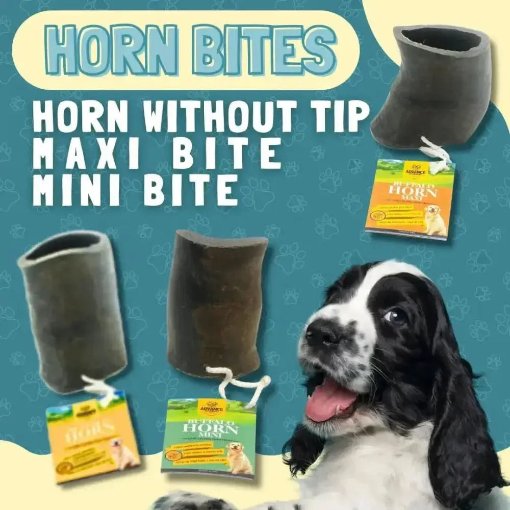 Natural Water Buffalo Horn Bites for Dogs - Talis Us