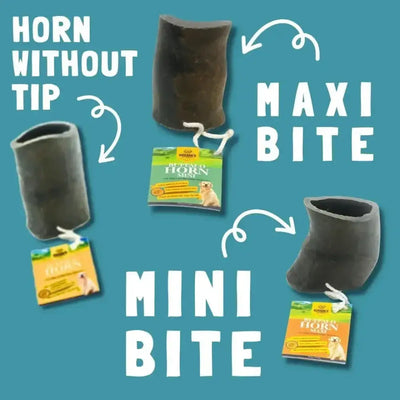 Natural Water Buffalo Horn Bites for Dogs - Talis Us