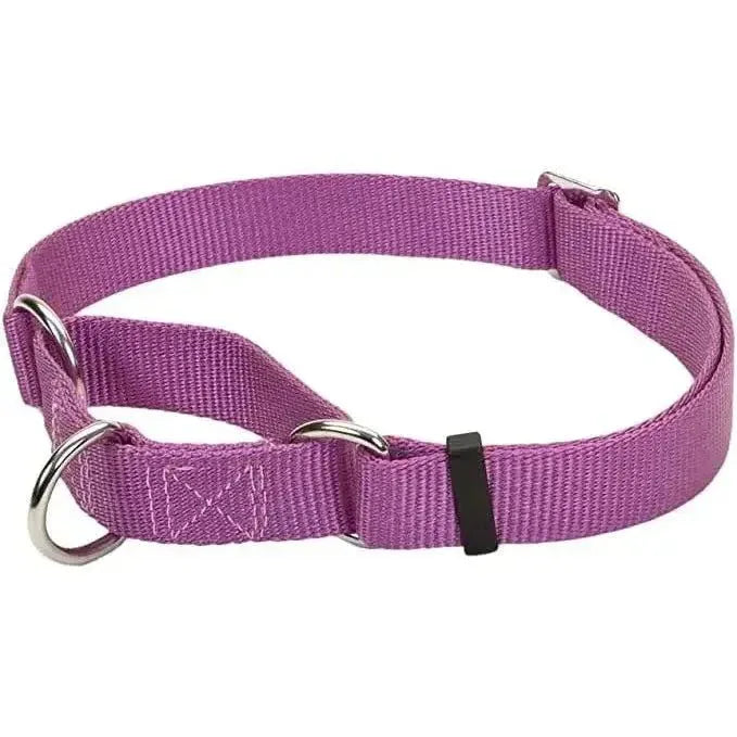 No! Slip® Martingale Adjustable Dog Collar - Talis Us