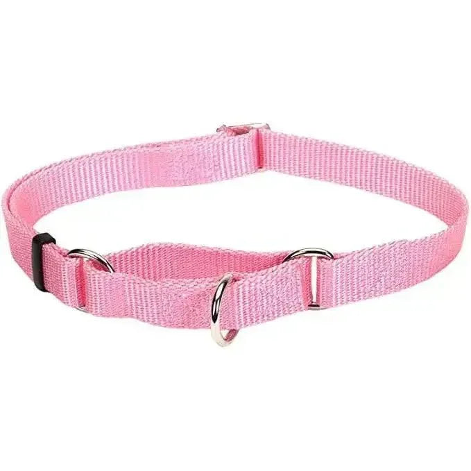 No! Slip® Martingale Adjustable Dog Collar - Talis Us
