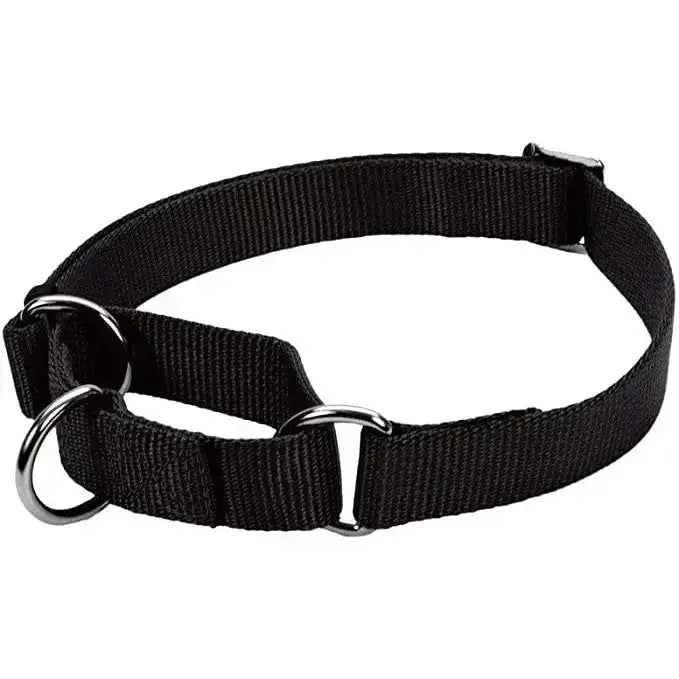 No! Slip® Martingale Adjustable Dog Collar - Talis Us