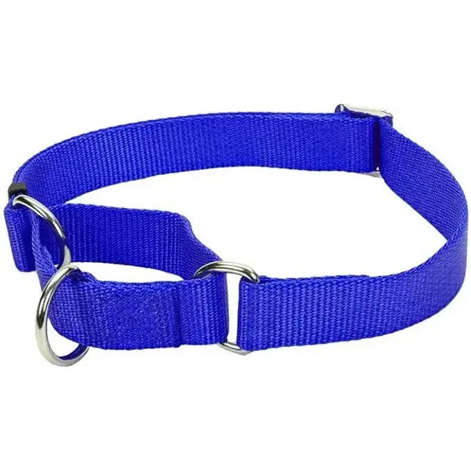 No! Slip® Martingale Adjustable Dog Collar - Talis Us