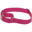 No! Slip® Martingale Adjustable Dog Collar - Talis Us