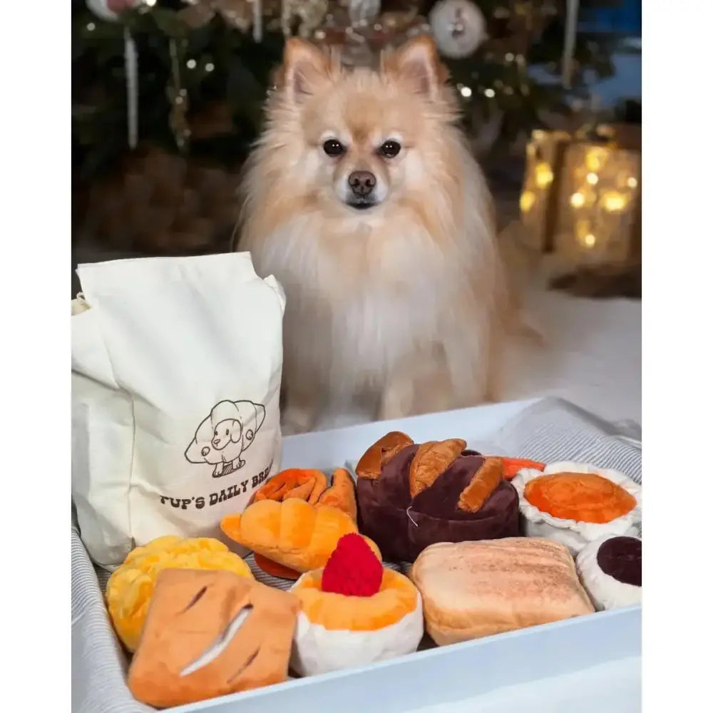 Nocciola 10 - Pack Crinkle & Squeaky Bread Dog Toys with Treat Bag - Talis Us