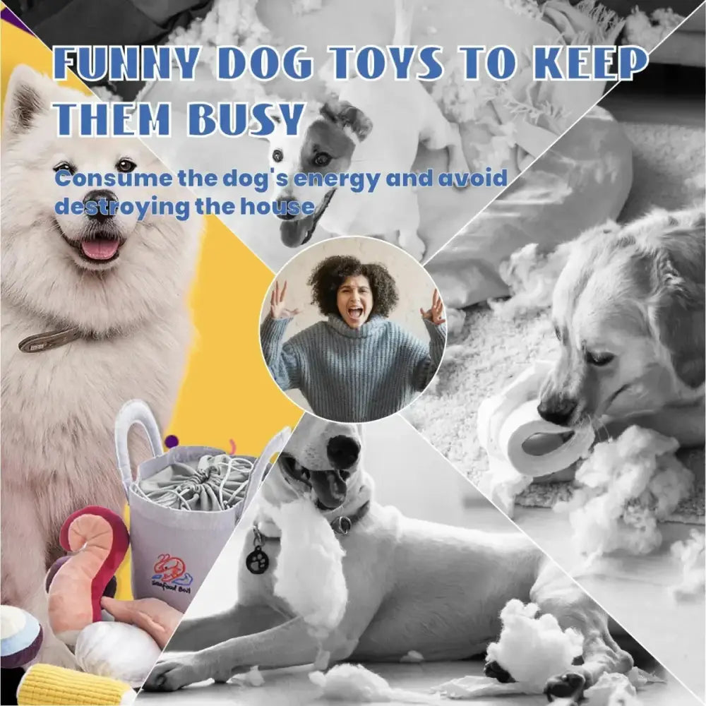 Nocciola 10 - Piece Seafood Boil Dog Toy Set with Squeakers & Crinkle Sounds - Talis Us