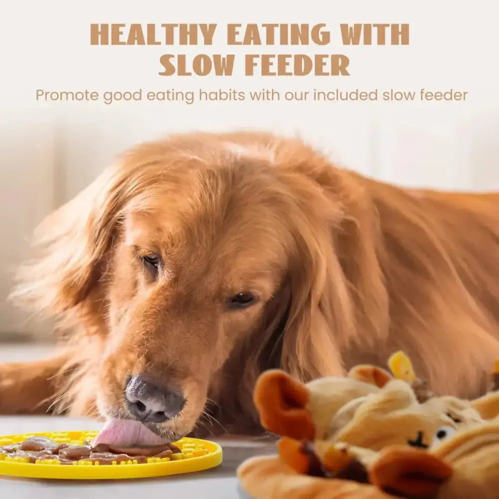 Nocciola 6 - in - 1 Bear Squeaky Dog Toys for Training & Anxiety Relief - Talis Us