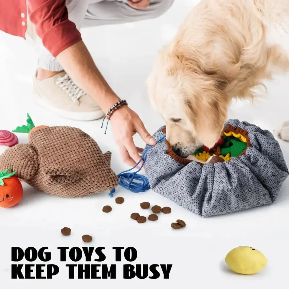 Nocciola Colorful Turkey - Themed Dog Toys - Perfect for Puppies and Small Breeds - Talis Us