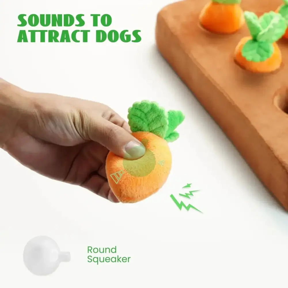 Nocciola Hide & Chew Carrot Enrichment Toy - Talis Us