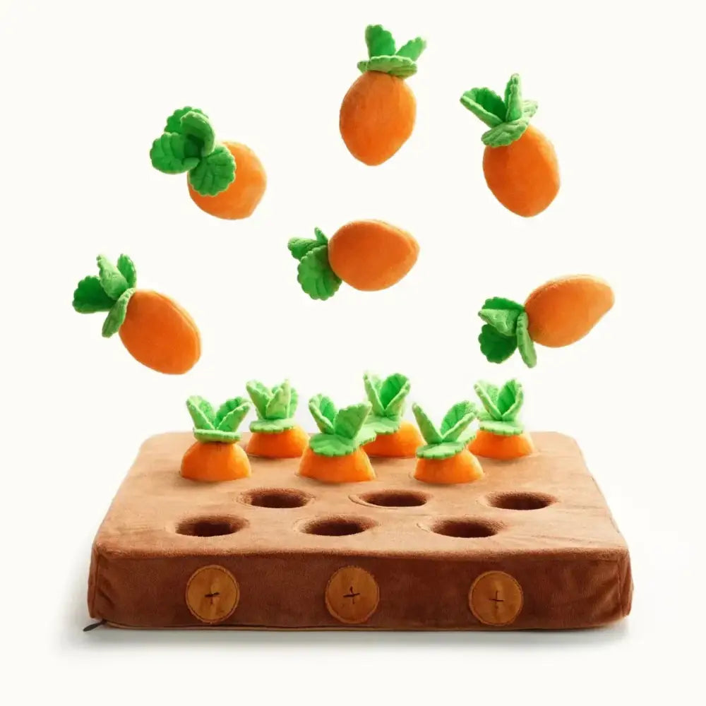 Nocciola Hide & Chew Carrot Enrichment Toy - Talis Us