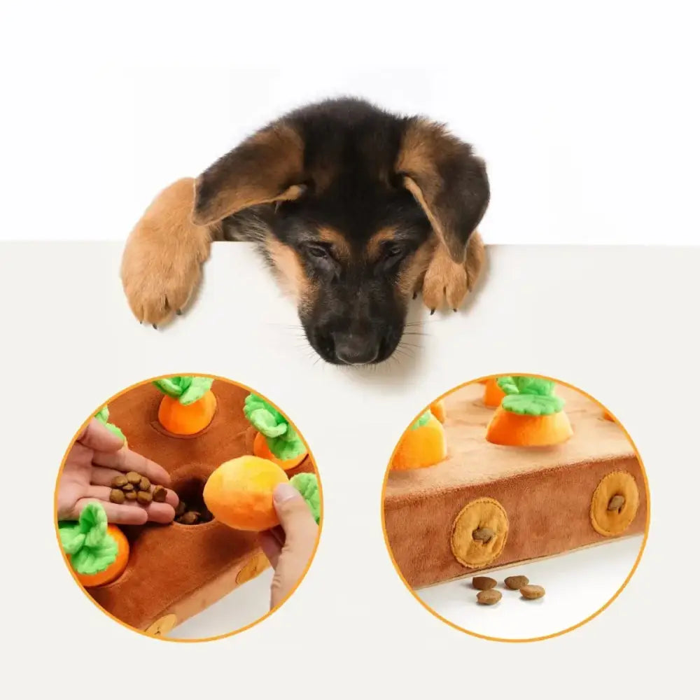 Nocciola Hide & Chew Carrot Enrichment Toy - Talis Us