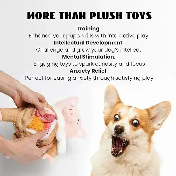 Nocciola Hide - and - Seek Pig Toy Bundle for Dogs - Talis Us