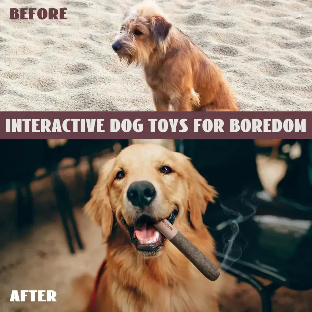 Nocciola Hilarious Puff Stick Toys with Squeaky Sounds - Talis Us