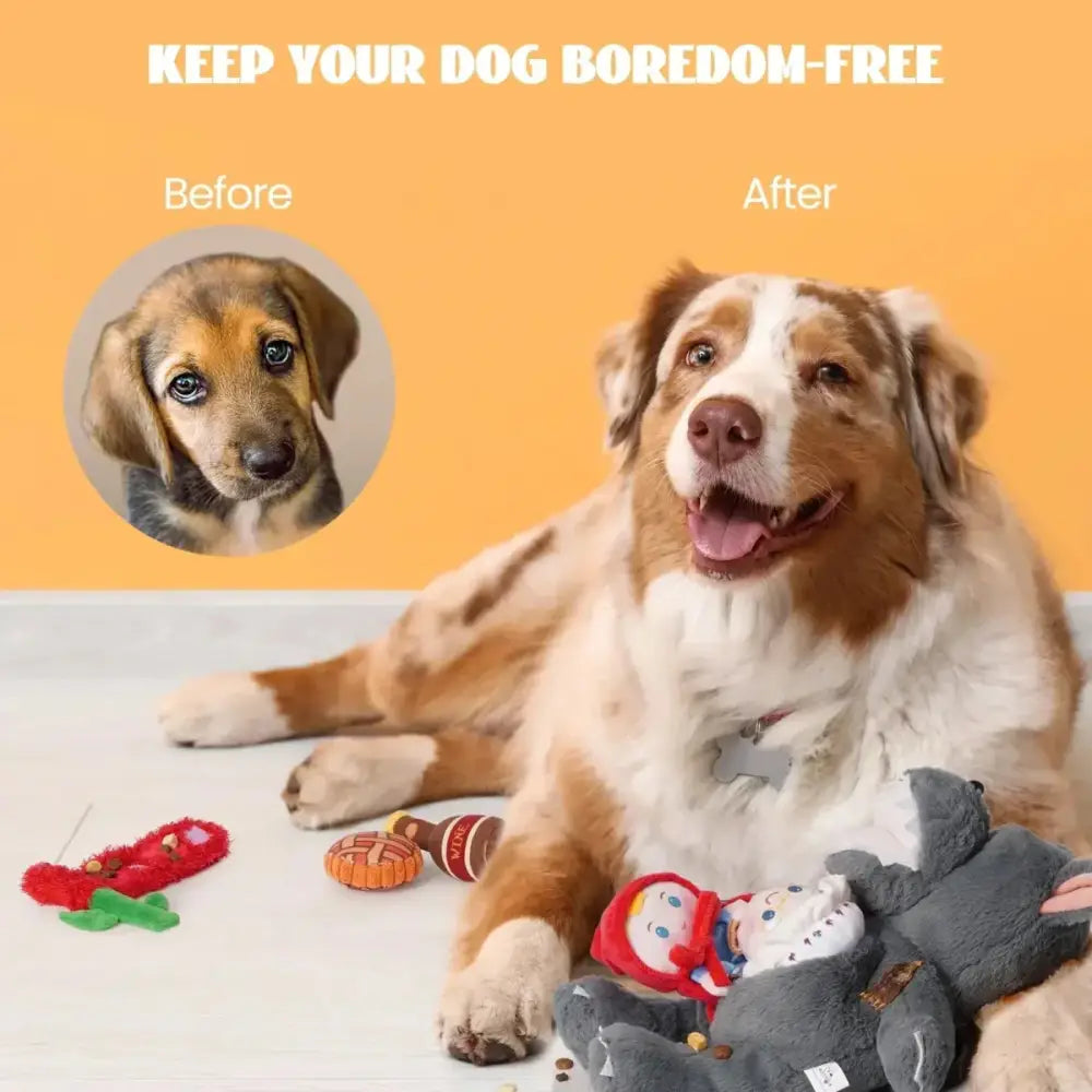 Nocciola Interactive Hide - and - Seek Fairy Tale Dog Toys - Talis Us