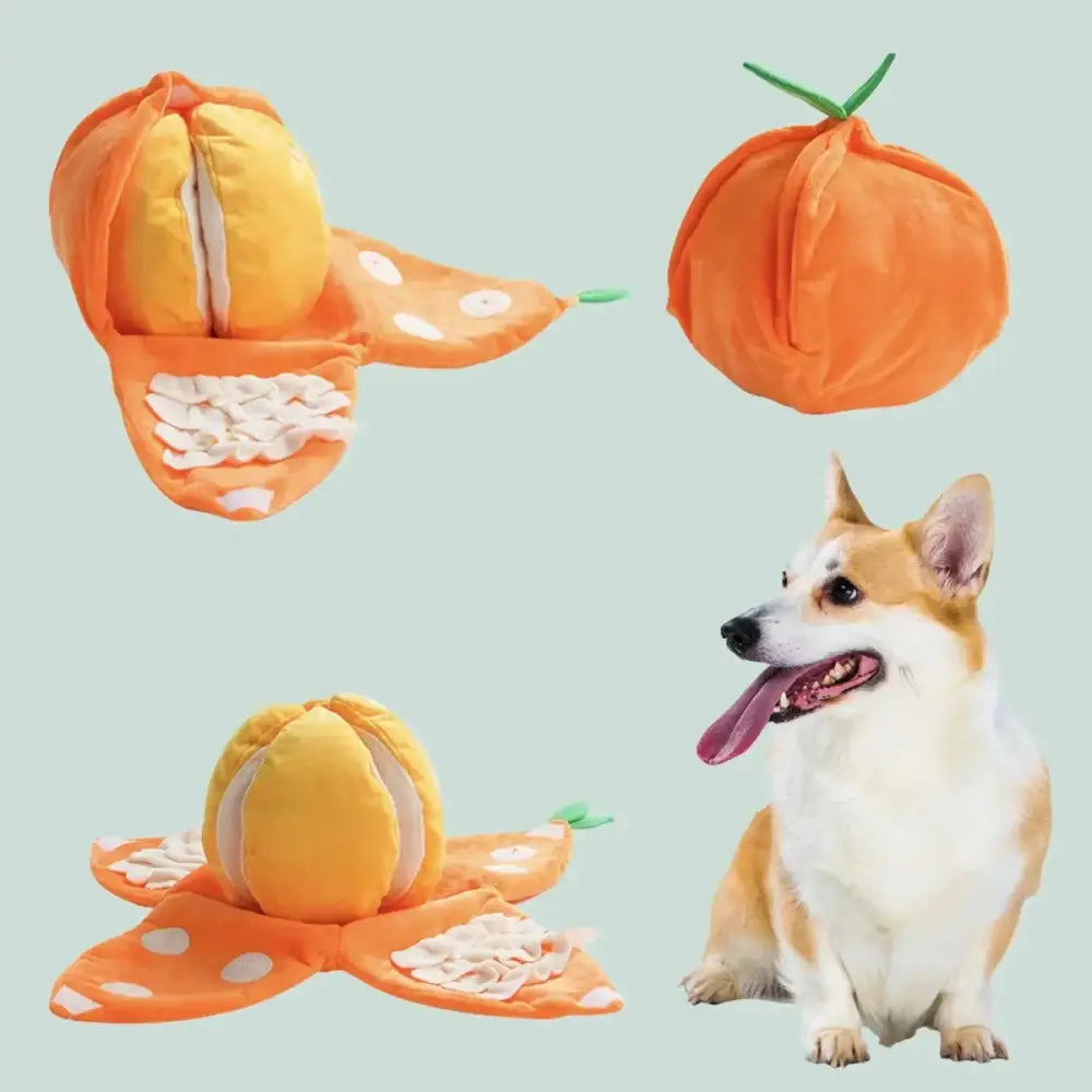 Nocciola Interactive Tangerine Plush Dog Toys with Hidden Surprises - Talis Us