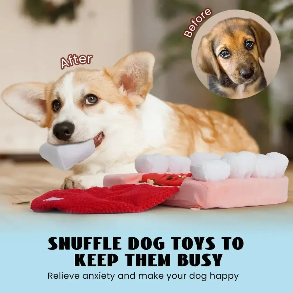 Nocciola Teeth Extraction Dog Toy – Keep Your Pup Engaged & Happy - Talis Us