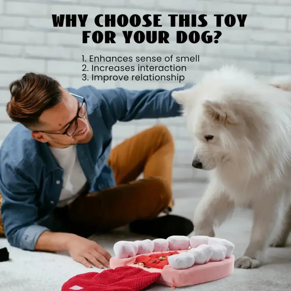 Nocciola Teeth Extraction Dog Toy – Keep Your Pup Engaged & Happy - Talis Us