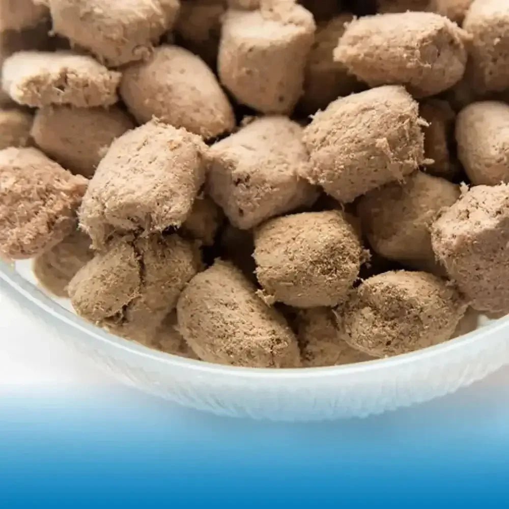 Northwest Naturals Freeze Dried Cats Nibbles Turkey Cat Food 11 oz - Talis Us