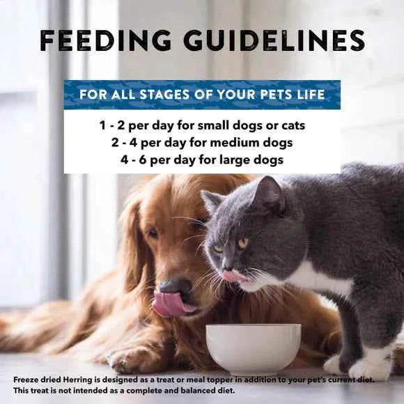 Northwest Naturals Freeze-Dried Herring Treats for Dogs & Cats 13oz