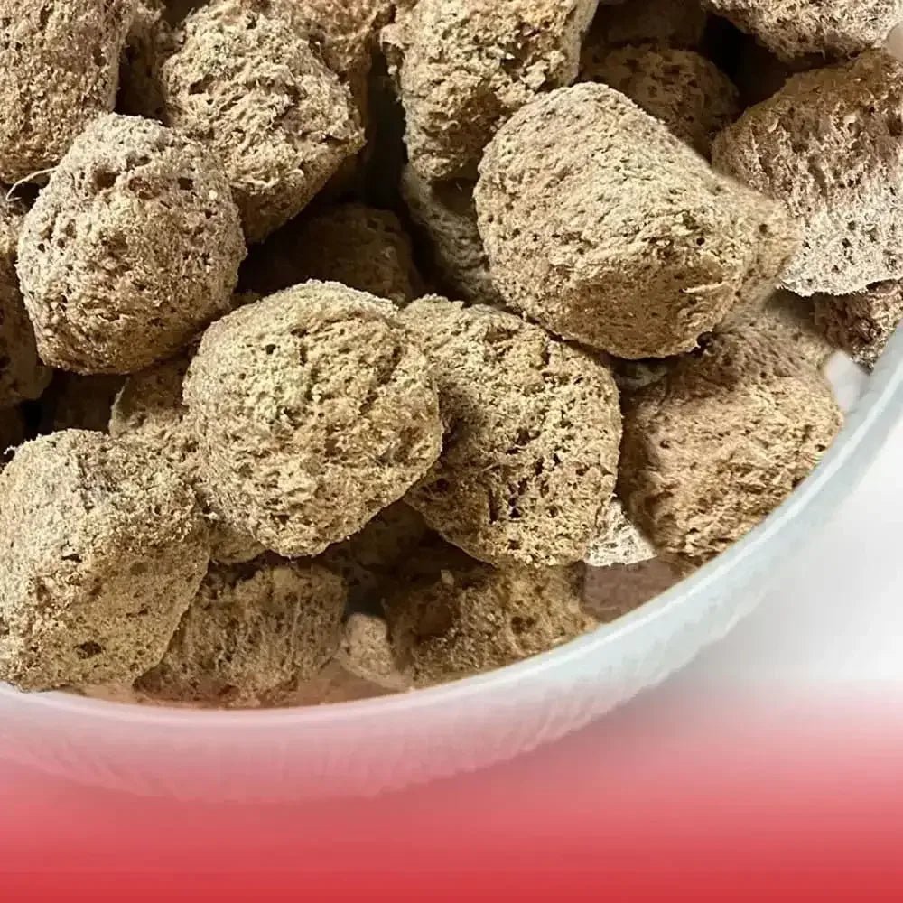 Northwest Naturals Freeze Dried Raw Diet for Dogs Beef Nuggets Dog Food - Talis Us