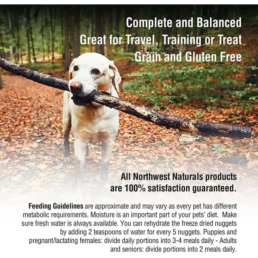 Northwest Naturals Freeze Dried Raw Diet for Dogs Beef Nuggets Dog Food - Talis Us