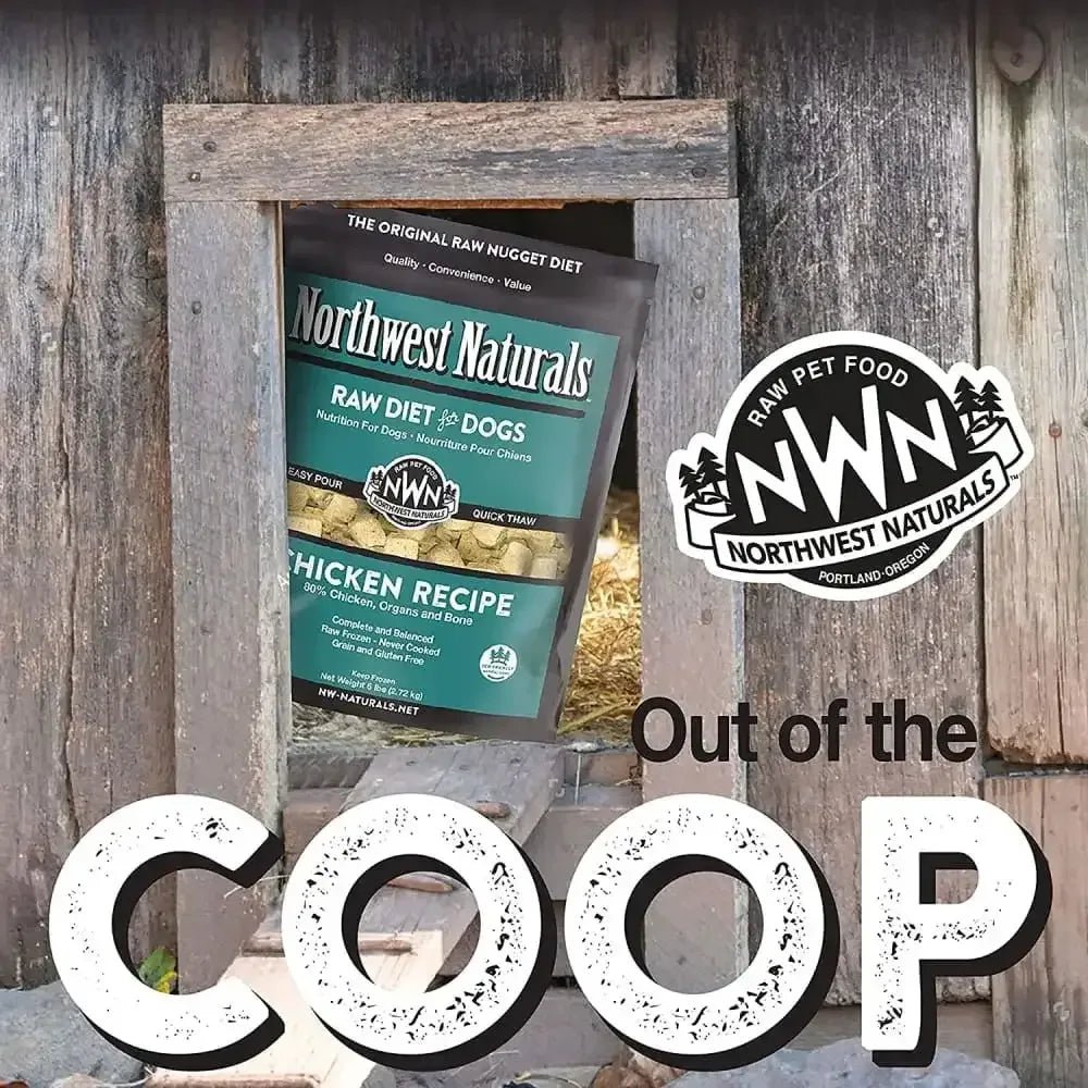 Northwest Naturals Freeze Dried Raw Diet for Dogs Chicken Nuggets Dog Food - Talis Us