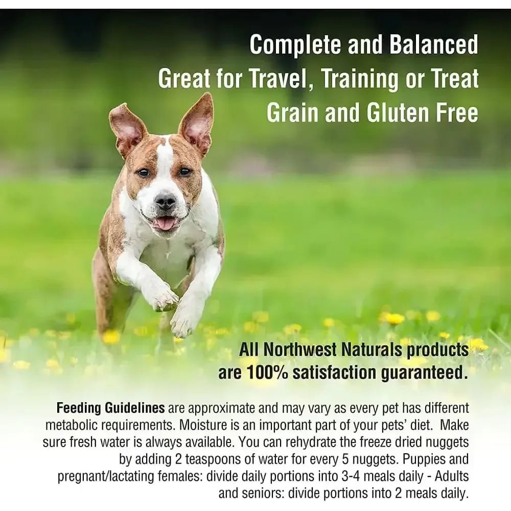Northwest Naturals Freeze Dried Raw Diet for Dogs Chicken Nuggets Dog Food - Talis Us