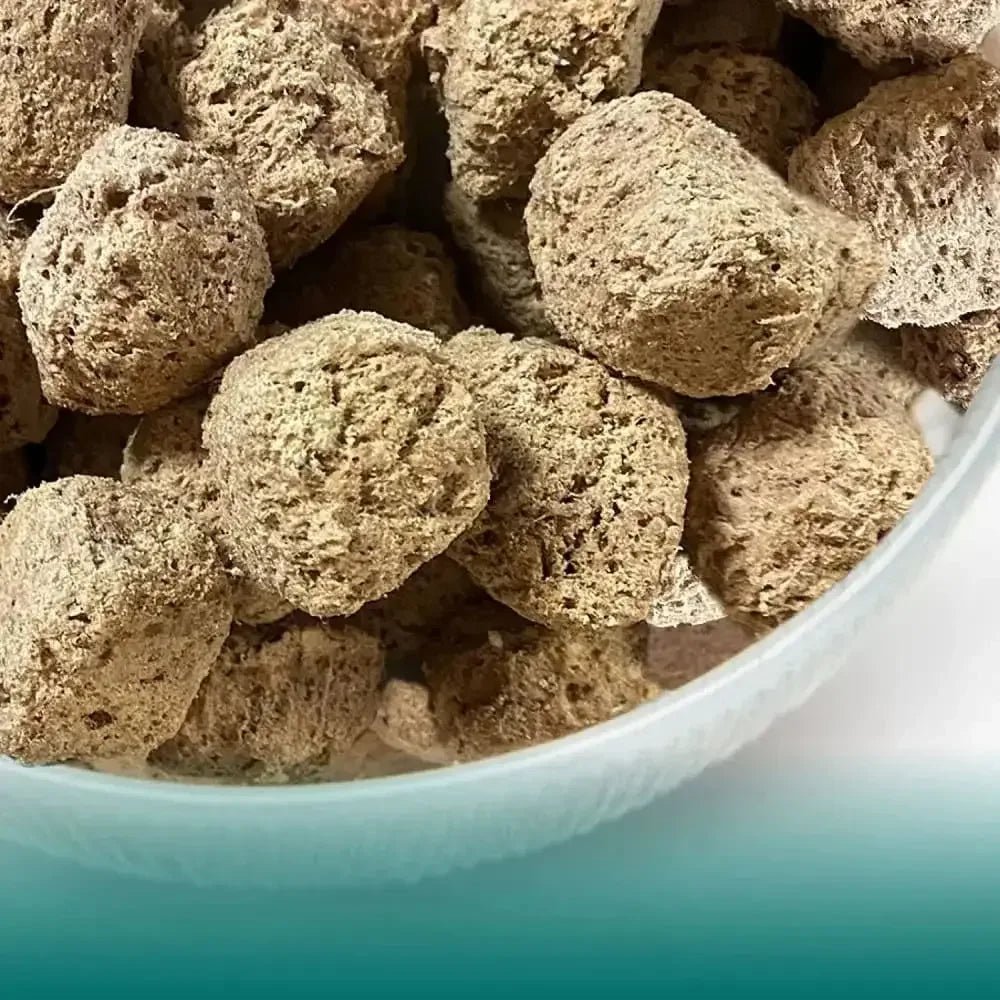 Northwest Naturals Freeze Dried Raw Diet for Dogs Chicken Nuggets Dog Food - Talis Us