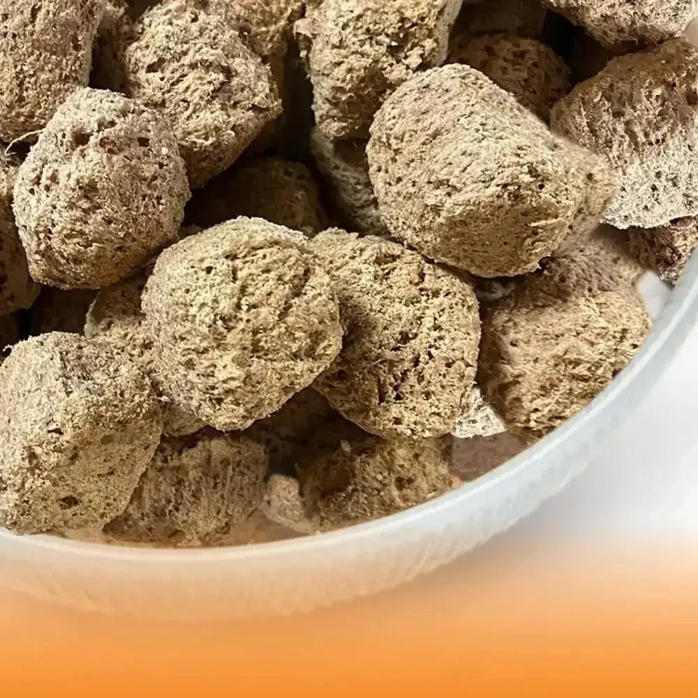 Northwest Naturals Freeze Dried Raw Diet for Dogs Turkey Nuggets Dog Food - Talis Us