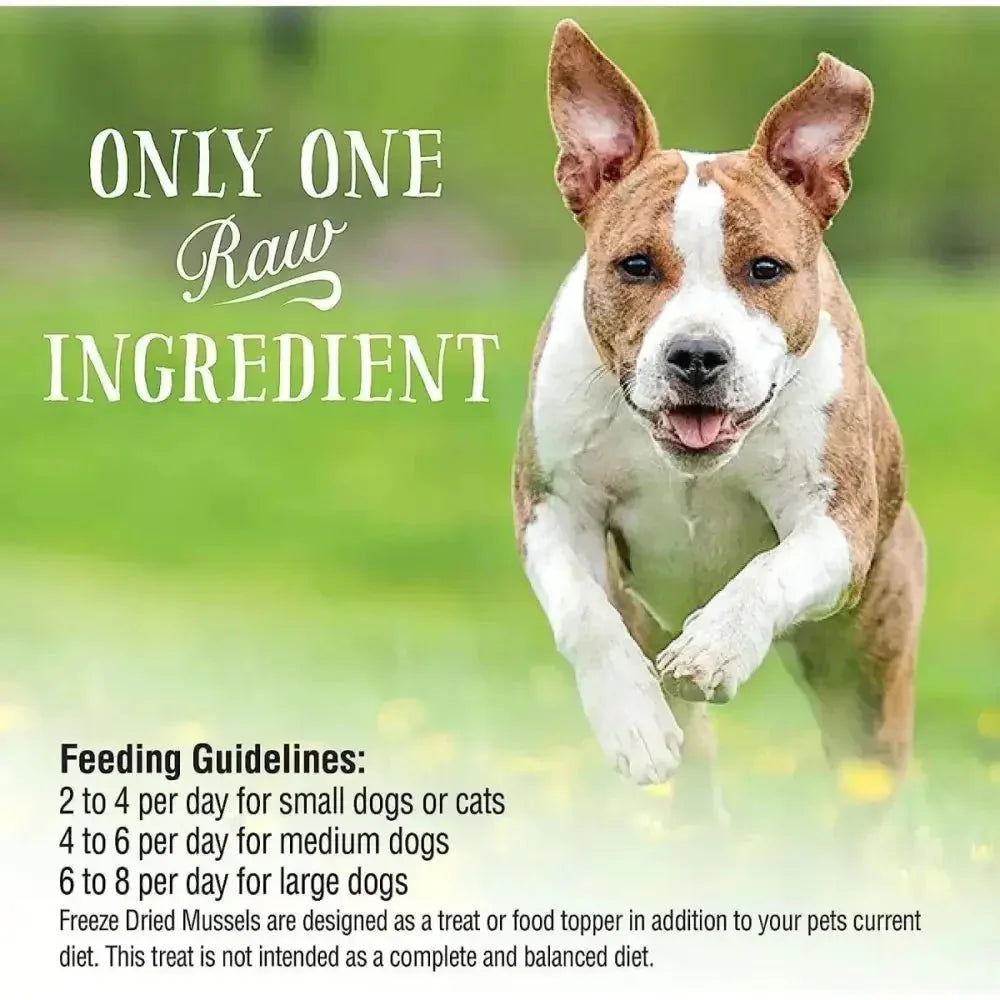 Northwest Naturals Green - Lipped Mussels Freeze - Dried Treats for Dogs and Cats 2oz - Talis Us