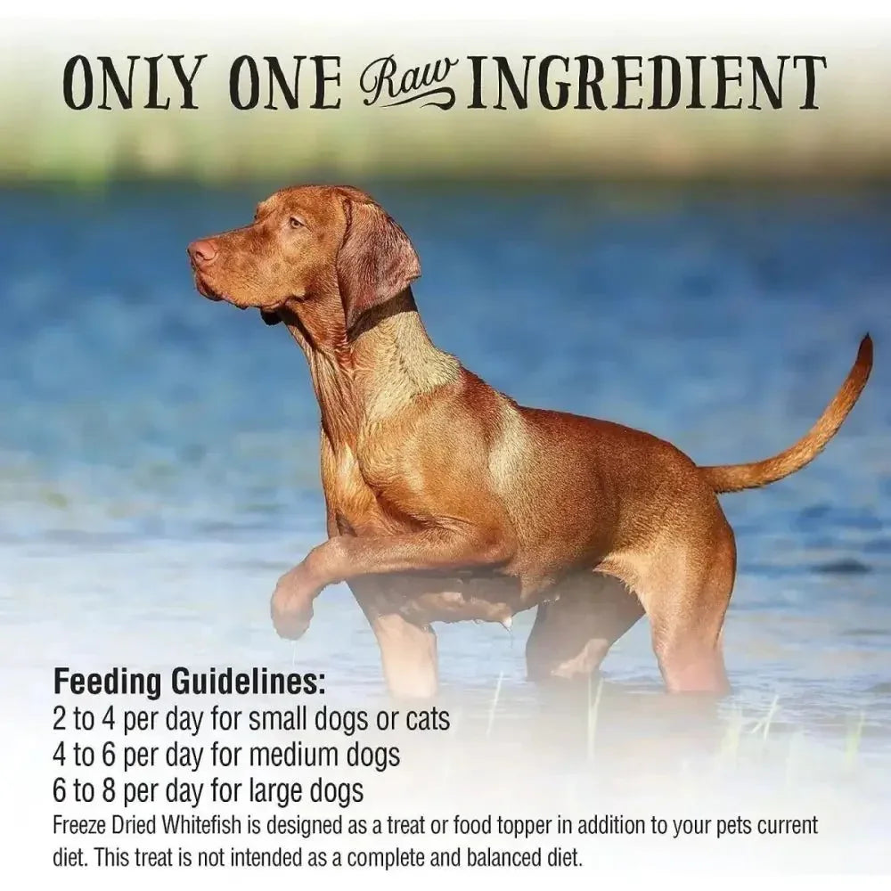 Northwest Naturals Whitefish Freeze - Dried Treats for Dogs and Cats - Talis Us