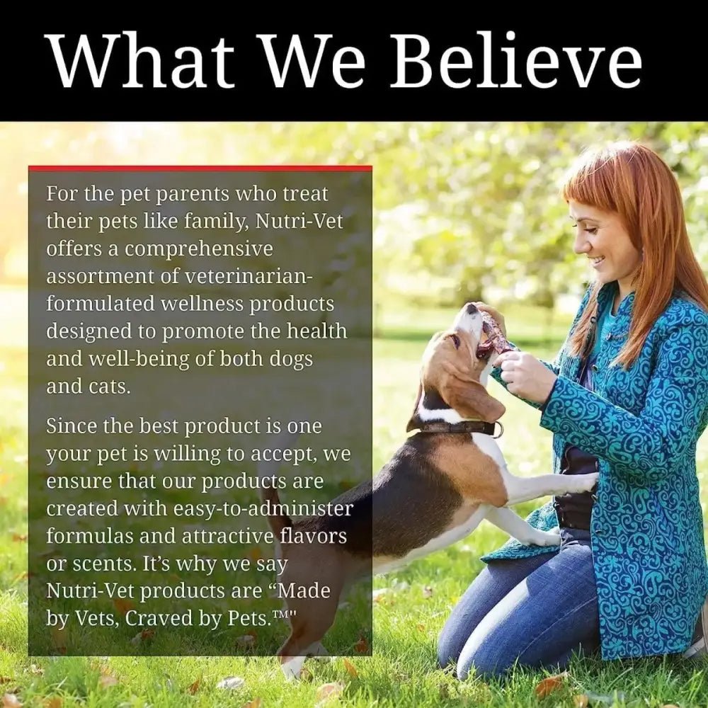 Nutri - Vet K9 Aspirin Liver Chewables Small Dogs 100 ct - Talis Us