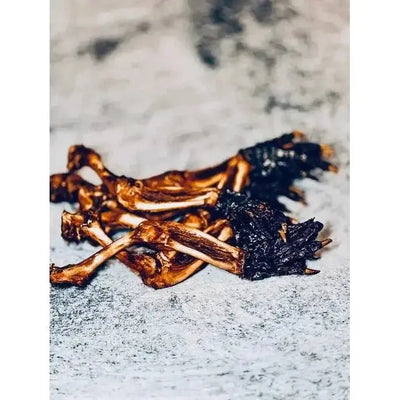 Nutrigator® Farm - Raised Alligator Feet Hypoallergenic Dog Treats Bulk - Talis Us