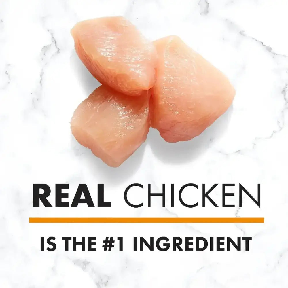 Nutro Products Natural Choice Puppy Dry Dog Food Chicken & Brown Rice Nutro