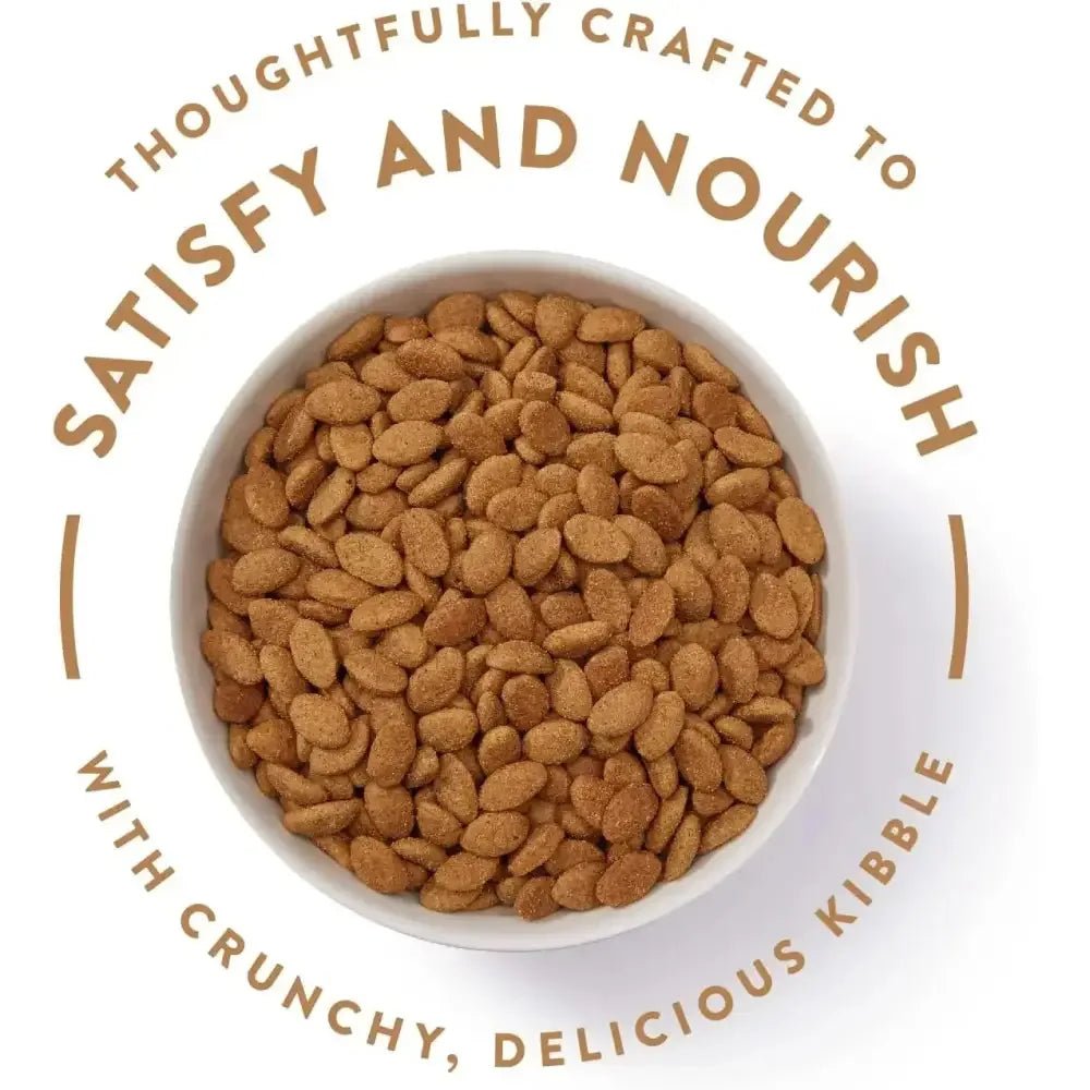 Nutro Products Ultra High Protein Adult Dry Dog Food Chicken, Lamb & Salmon - Talis Us