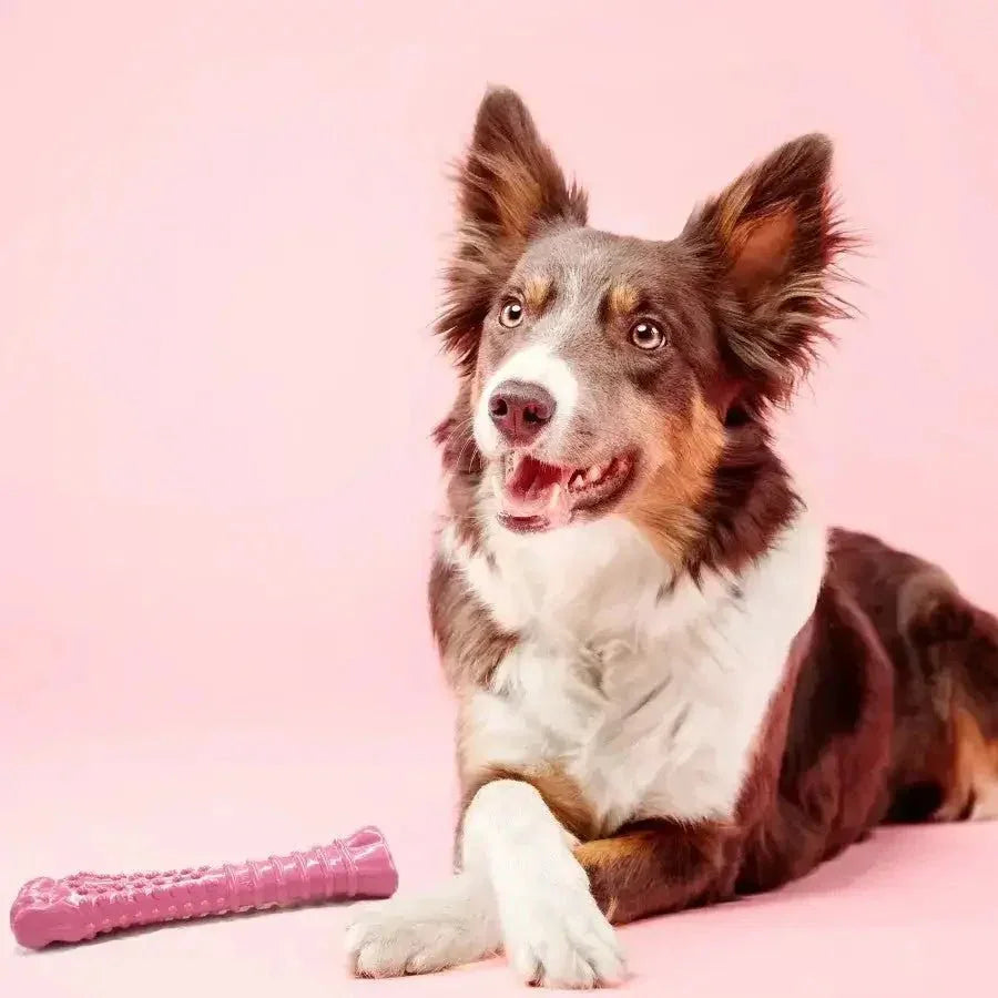 Nylabone Breast Cancer Awareness Chicken Dog Power Chew Toy - Talis Us