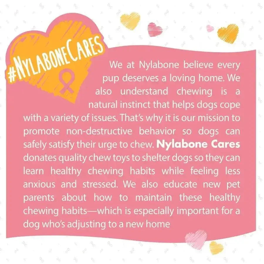 Nylabone Breast Cancer Awareness Chicken Dog Power Chew Toy - Talis Us