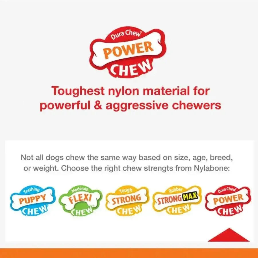 Nylabone Breast Cancer Awareness Chicken Dog Power Chew Toy - Talis Us