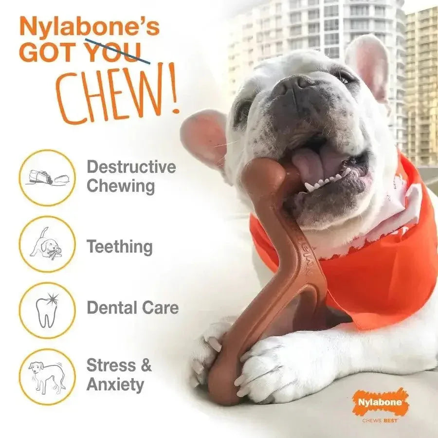 Nylabone Breast Cancer Awareness Chicken Dog Power Chew Toy - Talis Us