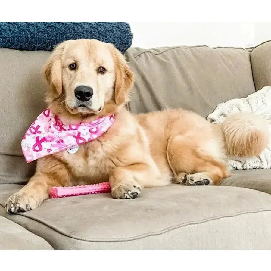 Nylabone Breast Cancer Awareness Chicken Dog Power Chew Toy - Talis Us