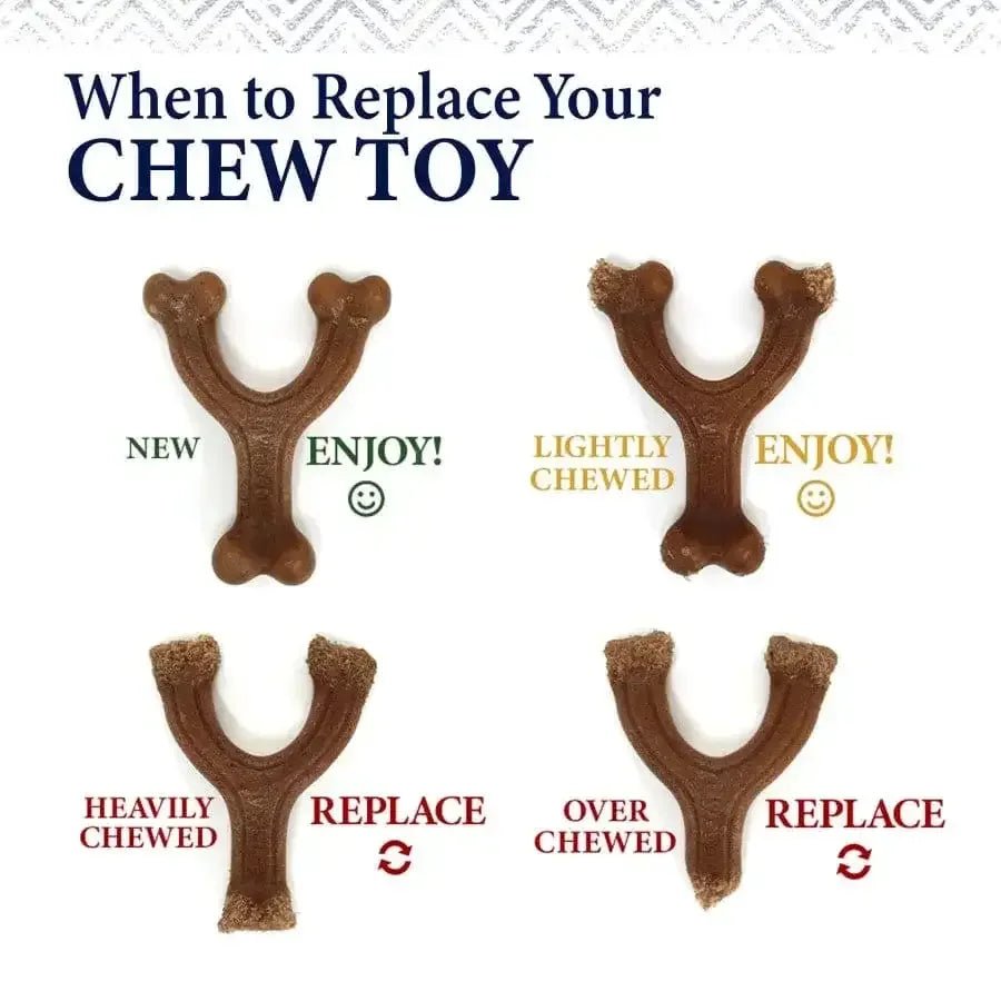 Nylabone Gourmet Style Strong Chew Stick Dog Toy - Talis Us