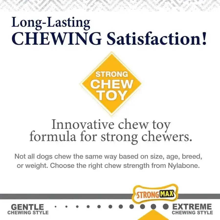 Nylabone Gourmet Style Strong Chew Stick Dog Toy - Talis Us