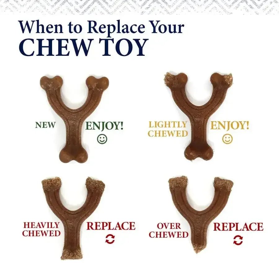 Nylabone Gourmet Style Strong Chew Wishbone Dog Toy Wishbone, - Talis Us
